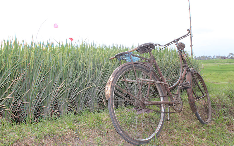 indonesia bicicleta transport