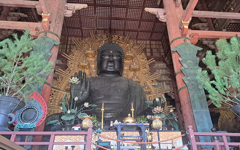 Més informació sobre l'article Nara (Japó)