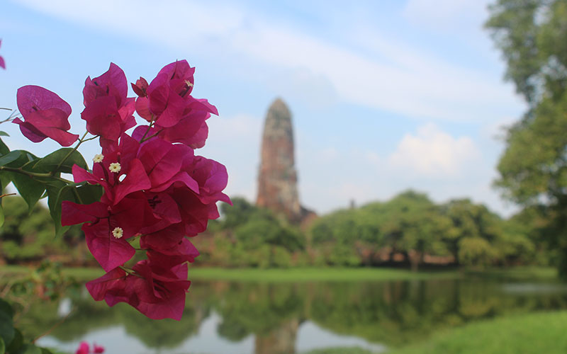 Read more about the article Ayutthaya (Tailàndia)