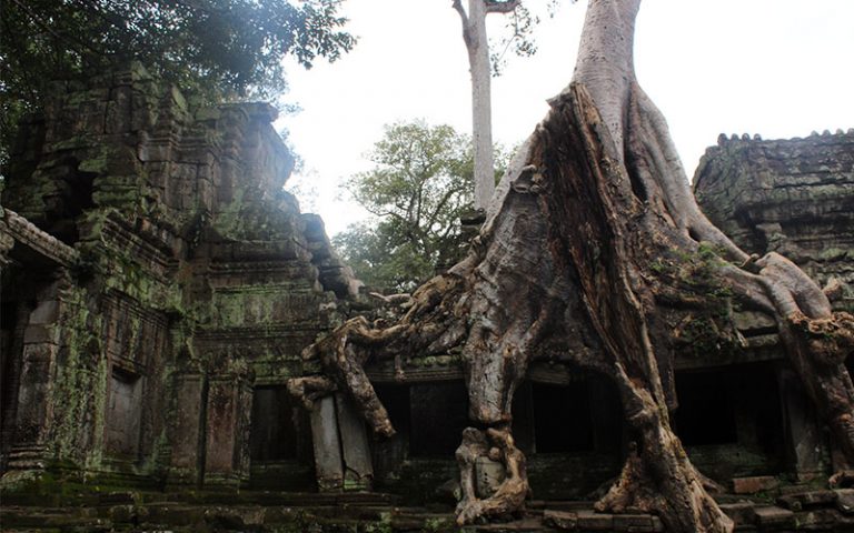 Temples d’Angkor  (Angkor Thom) (Cambodja)