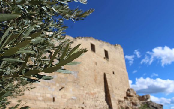 Més informació sobre l'article L’Albi (Les Garrigues)