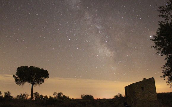 Més informació sobre l'article Els Omellons (Les Garrigues)