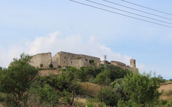 Més informació sobre l'article Montfalcó Murallat (La Segarra)