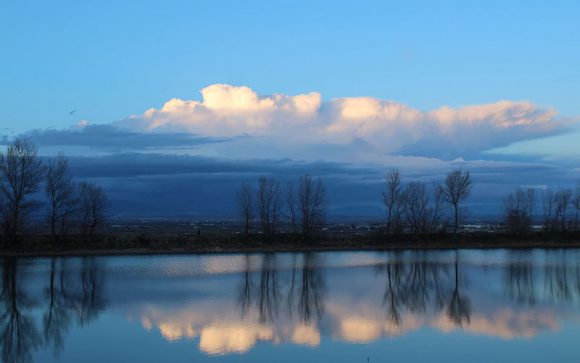 Més informació sobre l'article Sidamon (El Pla d’Urgell)