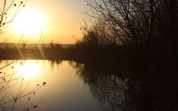 Més informació sobre l'article Torregrossa i Margalef (El Pla d’Urgell)