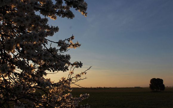 Més informació sobre l'article Preixana (L’Urgell)