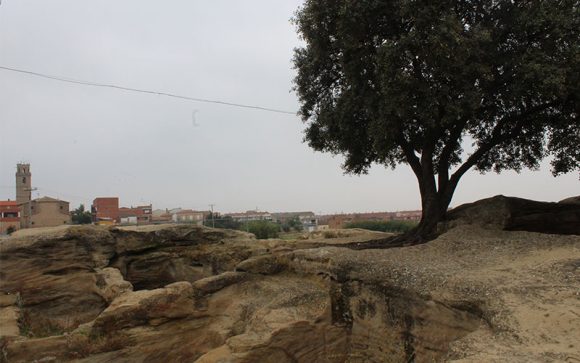 Més informació sobre l'article Benavent de Segrià (El Segrià)