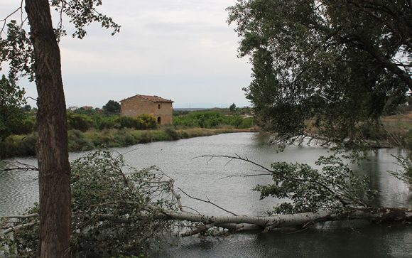 Més informació sobre l'article Puigverd de Lleida (Segrià)