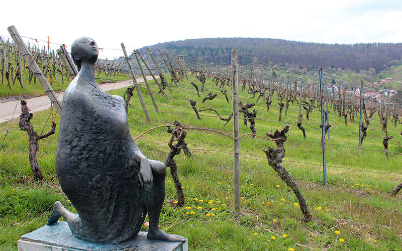 Strümpfelbach visitar zona de vins