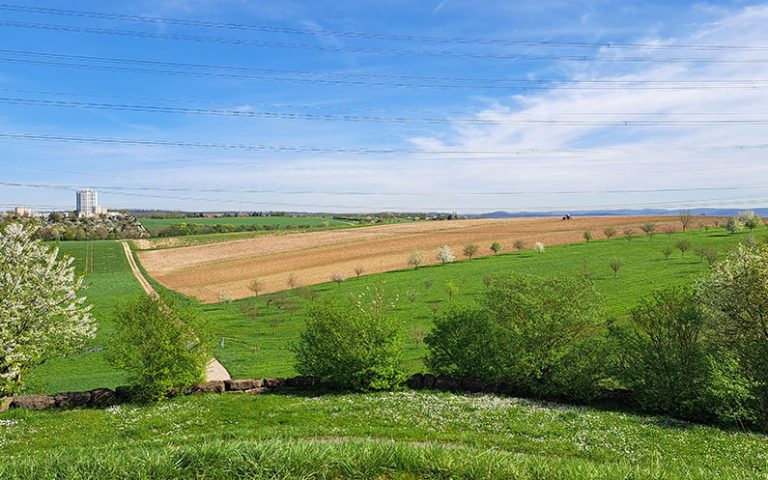 Més informació sobre l'article Hauries de Saber per visitar o viure a Alemanya
