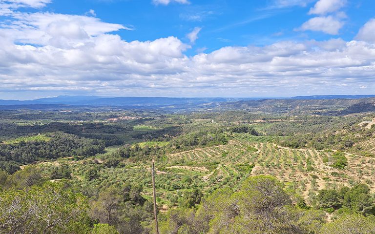 Més informació sobre l'article Bovera (Les Garrigues)