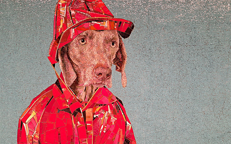 com funciona el metro a new york